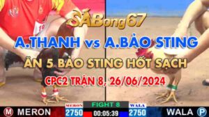 CPC2 TRẬN 8 26/06/2024 : ĂN 5 BẢO STING HỐT SẠCH