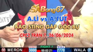 CPC3 TRẬN 2 26/06/2024, A.LÌ VS A.TÚT - BẢO STING GẶP GỐC BỰ