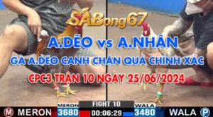 CPC3 TRẬN 10 25/06/2024 A.DẼO VS A. NHÂN