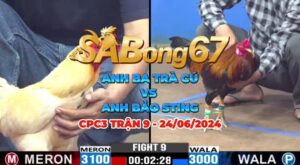 CPC3 TRẬN 9 NGÀY 24/06/2024 - BA TRÀ CÚ VS BẢO STING