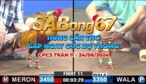 CPC3 TRẬN 11 24/06/2024 - ANH MINH VS HƯNG CT