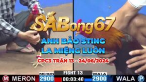 CPC3 TRẬN 13 NGÀY 24/06/2024 - BẢO STING VS SƠN ĐN