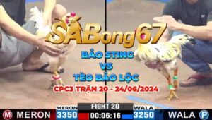 CPC3 TRẬN 20 24/06/2024 - BẢO SITNG VS TÈO BẢO LỘC