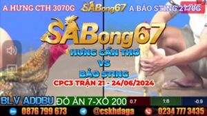 CPC3 TRẬN 21 24/06/2024 - HƯNG CẦN THƠ VS BẢO STING