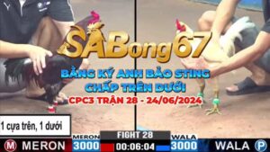 CPC3 TRẬN 28 NGÀY 24/06/2024 - BẢO STING VS DUYÊN TI