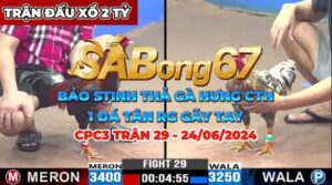 CPC3 TRẬN 29 NGÀY 24/06/2024 - TÂN RG VS HƯNG CT