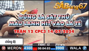 CPC3 TRẬN 12 14/07/2024