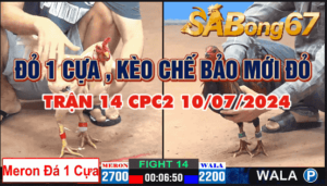 CPC2 TRẬN 14 10/07/2024