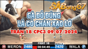 CPC3 TRẬN 18 09/07/2024