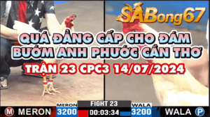 CPC3 TRẬN 23 24/07/2024