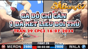 CPC3 TRẬN 29 16/07/2024