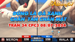 BẢO STING VS DUYÊN TI