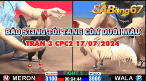 CPC2 TRẬN 3 17/07/2024