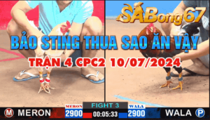 CPC2 TRẬN 4 10/07/2024