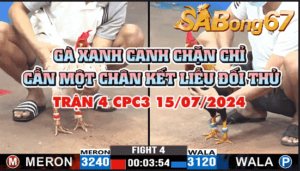 CPC3 TRẬN 4 15/07/2024