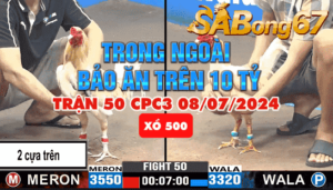 A.BẢO STING VS A.DUYÊN TI