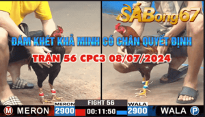 CPC3 TRẬN 56 08/07/2024