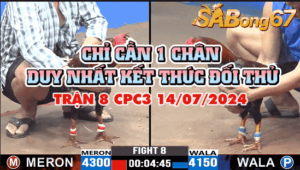 CPC3 TRẬN 8 14/07/2024