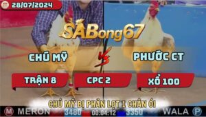 TRẬN 8 CPC2 28/7/2024