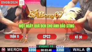 Trận 11 CPC2 9/8/2024 Anh Thạnh Đá Xổ Bảo Sting