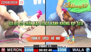 Trận 11 CPC3 22/8/2024 Anh Tin Đá Xổ Anh Phước Cần Thơ