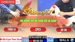 Trận 13 CPC1 15/8/2024 Anh Mỹ Đá Xổ Anh Hòa