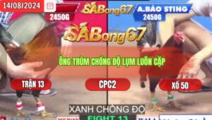 Trận 13 CPC2 14/8/2024 Anh Huy Biện Đá Xổ Anh Bảo Sting