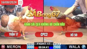 Trận 17 CPC2 16/8/2024 Anh Út Sài Gòn Đá Xổ Anh Bảo Sting