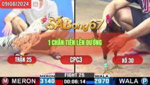 Trận 25 CPC3 9/8/2024 Anh Tèo Đá Xổ Anh Tin