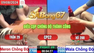 Trận 29 CPC2 9/8/2024 Anh Bi Đá Xổ Anh Bảo Sting