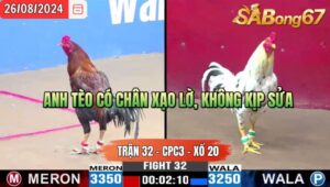 Trận 32 CPC3 26/8/2024 Anh Tèo Bảo Lộc Đá Xổ Anh Minh Củ Chi