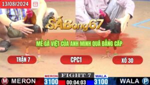 Trận 7 CPC1 13/8/2024 Anh Minh Long An Đá Xổ Anh Mỹ