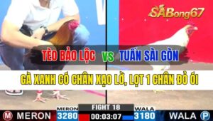 Trận 18 CPC3 25/09/2024 Anh Tèo Bảo Lộc Đá Xổ Anh Tuấn Sài Gòn