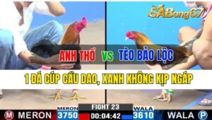 Trận 23 CPC2 25/09/2024 Anh Thổ Đá Xổ Anh Tèo Bảo Lộc