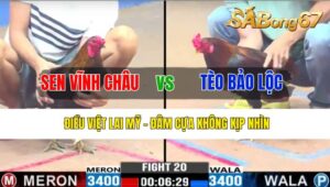 TRẬN 20 CPC3 25/10/2024: ANH SEN VĨNH CHÂU VÀ ANH TÈO BẢO LỘC