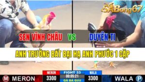 Trận 33 CPC3 06/10/2024 Anh Sen Vĩnh Châu Đá Xổ Anh Duyên Ti