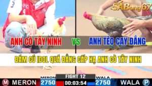 TRẬN 12 CPC3 08/11/2024 : ANH CÒ TÂY NINH VS ANH TÈO CAY ĐẮNG