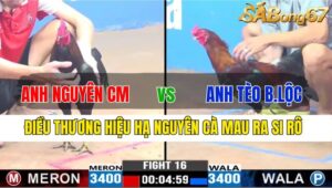 TRẬN 16 CPC3 20/11/2024 : ANH NGUYÊN CÀ MAU VS ANH TÈO BẢO LỘC