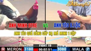 TRẬN 19 CPC3 15/11/2024 : ANH MINH BẾN TRE VS ANH TÈO BẢO LỘC