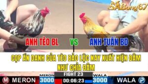 TRẬN 23 CPC3 13/11/2024 : ANH TÈO BẢO LỘC VS ANH TUẤN BÌNH DƯƠNG