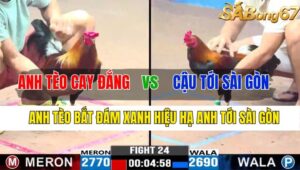 TRẬN 24 CPC3 08/11/2024 : ANH TÈO CAY ĐẮNG VS CẬU TỚI SÀI GÒN