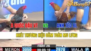 TRẬN 26 CPC3 13/11/2024 : ANH QUỐC ĐẬU VŨNG TÀU VS ANH TÈO BẢO LỘC