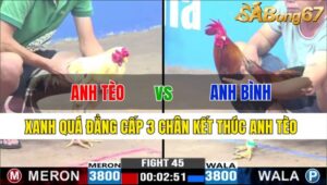 TRẬN 45 CPC3 22/11/2024: ANH TÈO BẢO LỘC VS ANH BÌNH SG