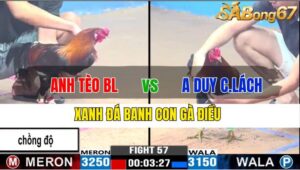 TRẬN 57 CPC3 19/11/2024 : ANH TÈO BẢO LỘC VS ANH DUY CHỢ LÁCH