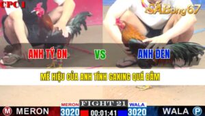 TRẬN 21 CPC1 28/12/2024 : ANH TÝ ĐỒNG NAI VS ANH ĐEN