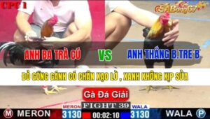 TRẬN 39 CPC1 16/1/2025