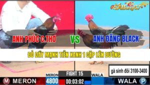 ANH PHÚC CẦN THƠ VS ANH ĐĂNG BLACK