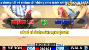 TRẬN 11 CPC1 17/3/2025 : ANH MINH L.AN VS ANH MINH VT