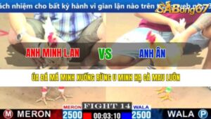 TRẬN 14 CPC1 17/3/2025 : ANH MINH L.AN VS ANH ÂN