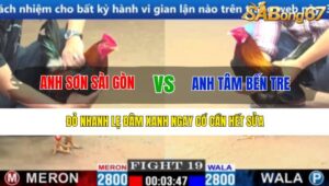 TRẬN 19 CPC1 17/3/2025 : ANH SƠN SÀI GÒN VS ANH TÂM BT